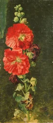 A Stockrose, 1827